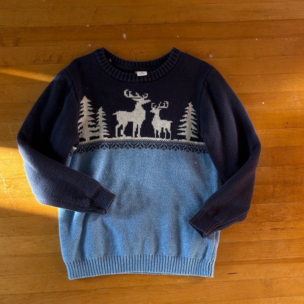 Janie and Jack sweater, 5